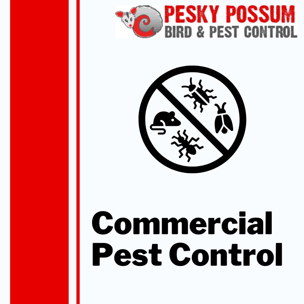 Brisbane Commercial Pest Control | Pesky Possum Brisbane Pest Control